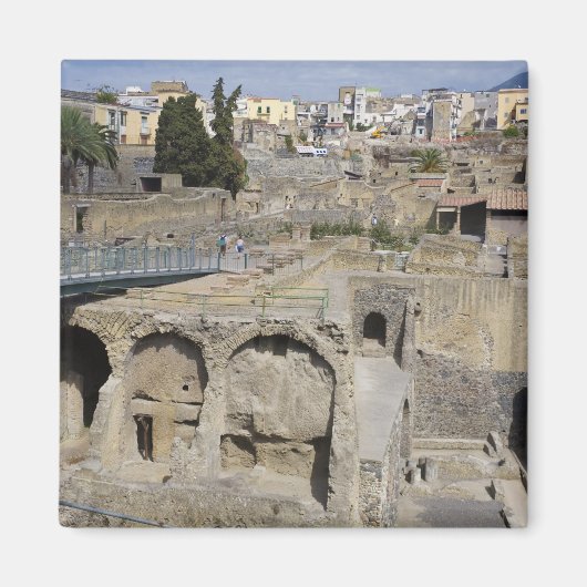 Herculium, Ercolano, Campania，イタリア マグネット (正面)