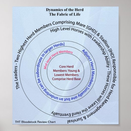 Herdダイナミック・ファブリック・オブ・ライフ ポスター (正面)