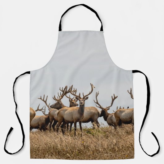 HERD OF DEER エプロン (正面)