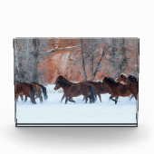 Herd of Horses Running in Snow フォトブロック (正面)