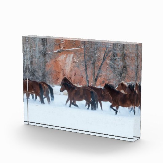 Herd of Horses Running in Snow フォトブロック (右)