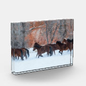 Herd of Horses Running in Snow フォトブロック (左)
