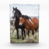 Herd of Wild Horses フォトブロック (正面)