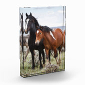 Herd of Wild Horses フォトブロック (左)