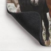 Herd of Wild Horses マウスパッド (コーナー)