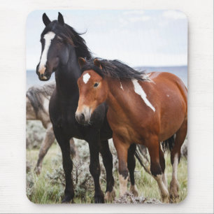 Herd of Wild Horses マウスパッド