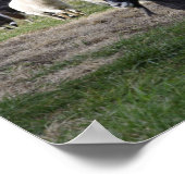 Herding Homeポスター ポスター (角)