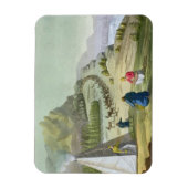 Herding Reindeer, Lapland, 'Le Costuからプレート47 マグネット (縦)