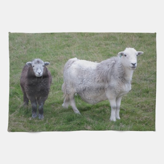 Herdwickの雌ヒツジおよび子ヒツジのふきん キッチンタオル (横)