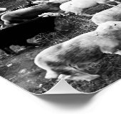 Herdwick Sheepのポスター ポスター (コーナー)