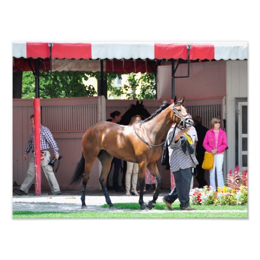 Here 来 Rosie - Saratoga Paddock フォトプリント (正面)