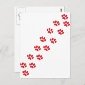 Here Kitty Cat Paws ポストカード (正面/裏面)