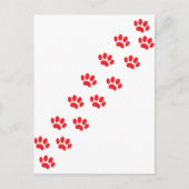 Here Kitty Cat Paws ポストカード (正面)