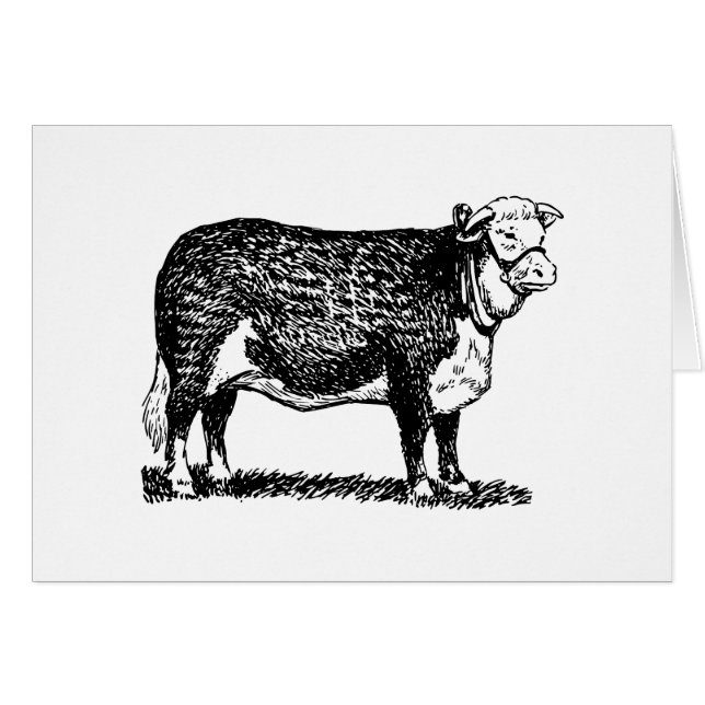 Hereford牛 (正面横)