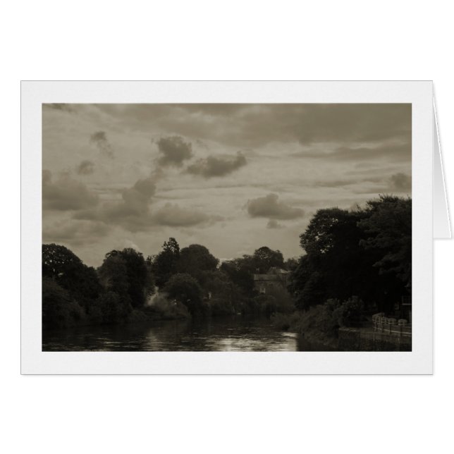 Hereford (正面横)