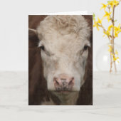 Hereford カード (黄色い花)