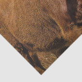 Hereford Cow Baby at Field Landscape 薄葉紙 (詳細)