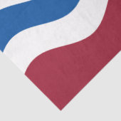 Herefordshire国旗（イギリス郡） 薄葉紙 (詳細)