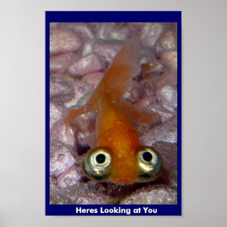 Heres Look You ポスター