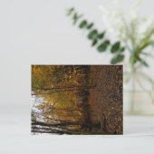 Heritage Park Fall Trail Postcard シーズンポストカード (スタンド正面)