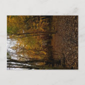 Heritage Park Fall Trail Postcard シーズンポストカード (正面)