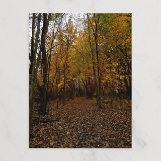 Heritage Park Fall Trail Postcard シーズンポストカード
