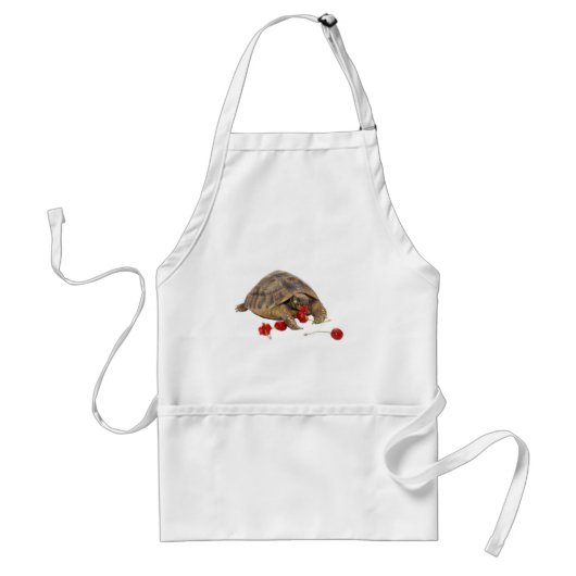Hermannのカメおよびいちご スタンダードエプロン (正面)