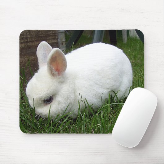 Hermelinkaninchen マウスパッド (マウス)