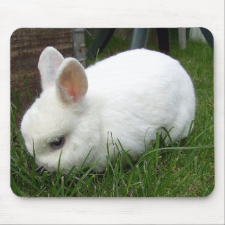 Hermelinkaninchen マウスパッド