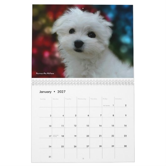 Hermesマルタのカレンダー カレンダー (1月 2027)