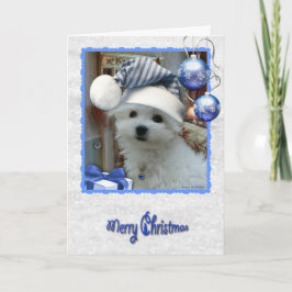 Hermesマルタのクリスマスの挨拶状 シーズンカード