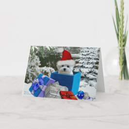 Hermesマルタのクリスマスの挨拶状 シーズンカード