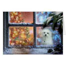 Hermesマルタのクリスマスカード