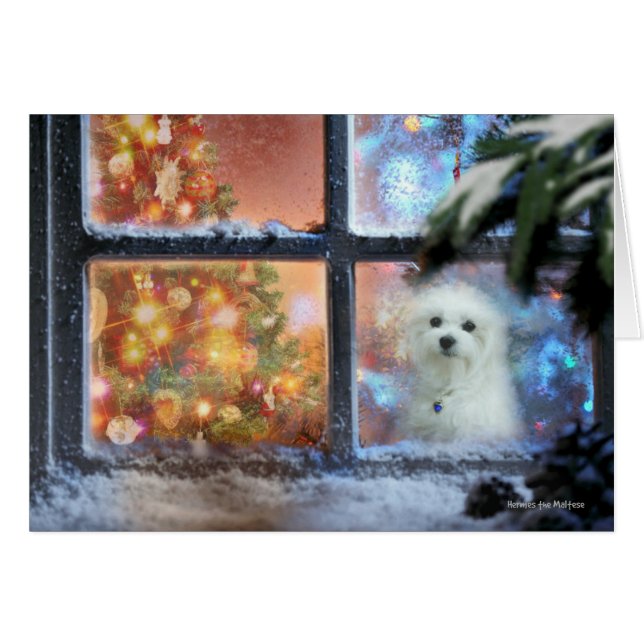 Hermesマルタのクリスマスカード (正面横)