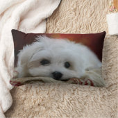 Hermesマルタの枕 ランバークッション (ブランケット)