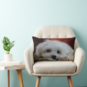 Hermesマルタの枕 ランバークッション (椅子)