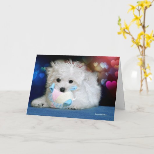 Hermesマルタの誕生日の挨拶状 カード (黄色い花)