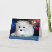 Hermesマルタの誕生日の挨拶状 カード (正面)