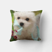 Hermesマルチーズ クッション (裏面)