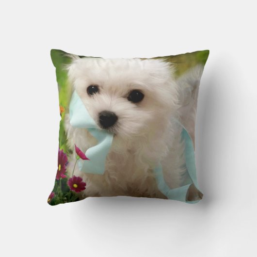 Hermesマルチーズ クッション (裏面)