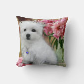 Hermesマルチーズ クッション (正面)