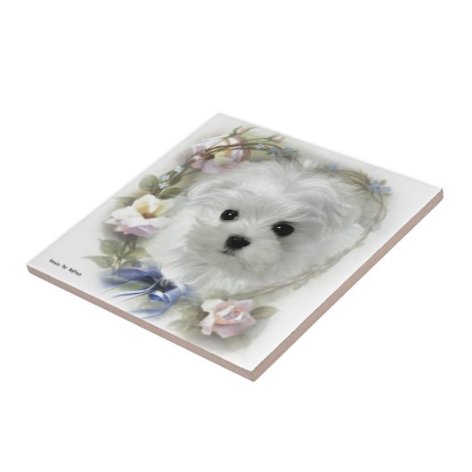 Hermesマルチーズ タイル (側面)