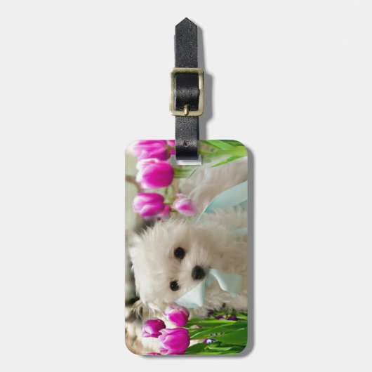 Hermesマルチーズ ラゲッジタグ (正面縦)