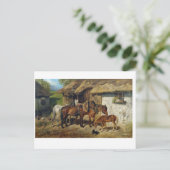 Hermine Biedermann Harneded Horses at the Stab ポストカード (スタンド正面)