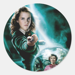 Hermione Grangerおよび教授Umbridge ラウンドシール