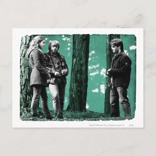 Hermione、Ronおよびハリー1 ポストカード (正面)