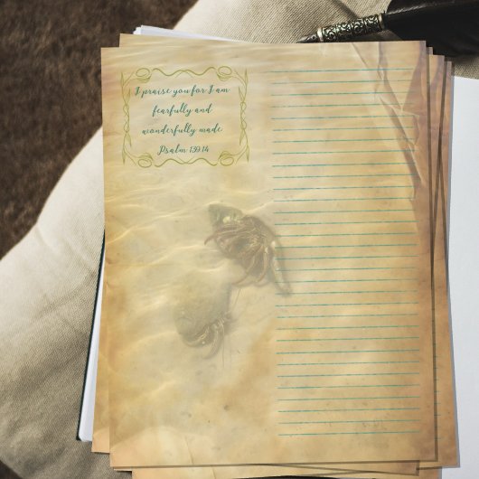 Hermit Crabs Scripture Scrapbook Paper チラシ