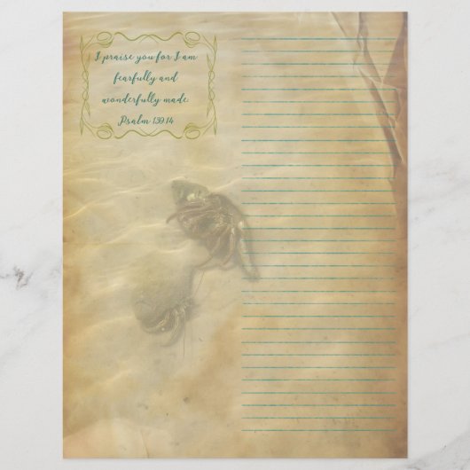 Hermit Crabs Scripture Scrapbook Paper チラシ (正面)