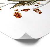 Hermit Thrush John James Audubon Birds of America ポスター (角)