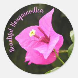 Hermosa Bugambilia ラウンドシール